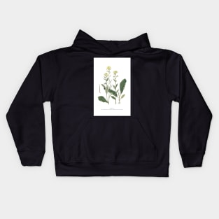 Wild Mustard Kids Hoodie